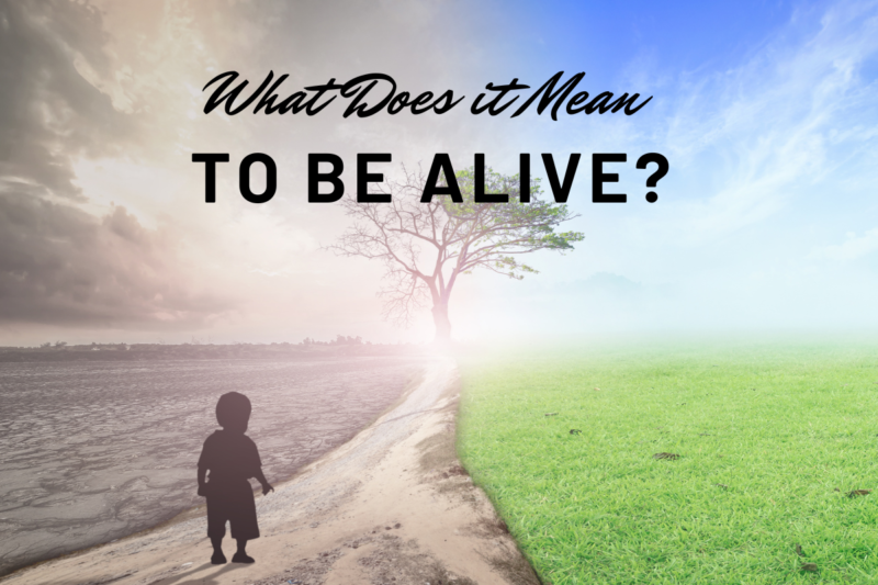 What Does It Mean To Be ALIVE? – Baptiste Institute